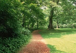 自毛植毛の価格徹底ガイド！施術内容から費用対効果まで詳しく解説